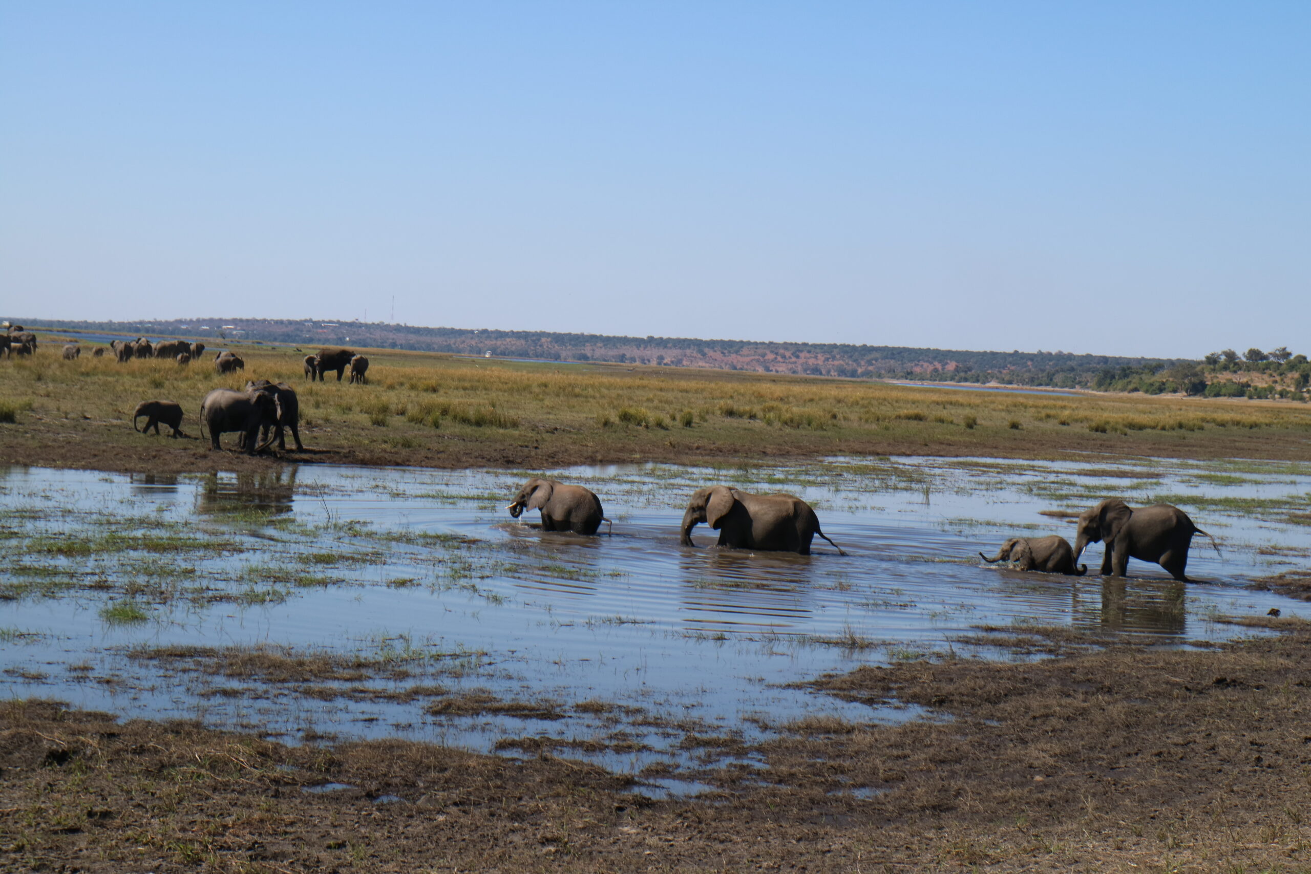 Tour door Botswana in Chobe National Park